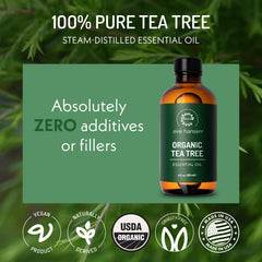 Eve Hansen Tea Tree Oil shampoo application supports scalp refresh and clean strands.