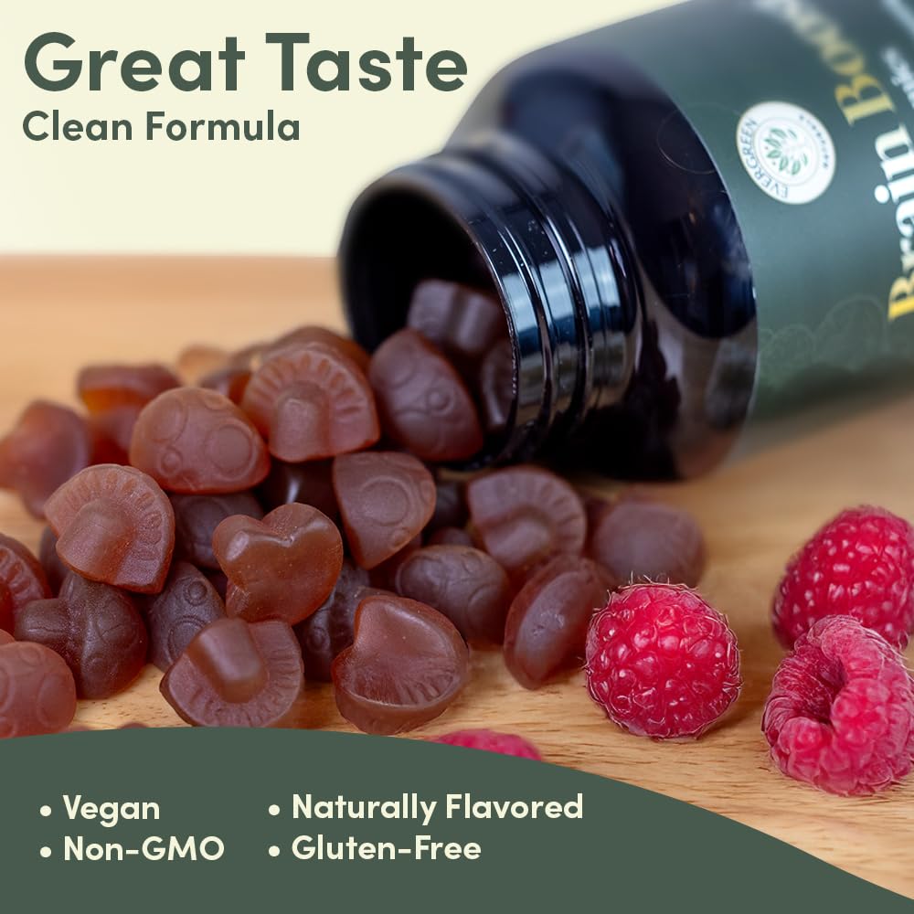 Evergreen Naturals Lion’s Mane Gummies serving jar ready to chew during study sessions.