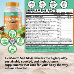 EverSmith Organics Bladderwrack powder in a natural setting.