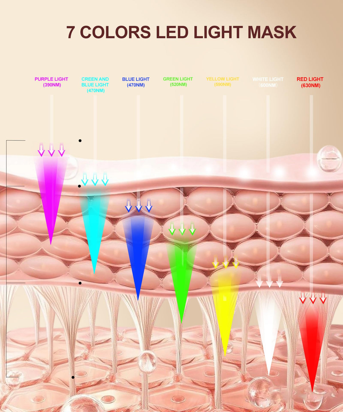 EVFOFO LED mask close-up showing spectrum lights for multiple skincare uses.