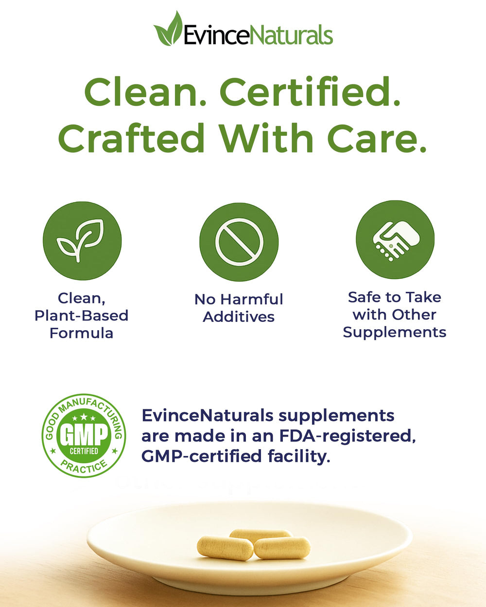 EvinceNaturals probiotic infographic illustrates prebiotic fiber supporting digestive balance.