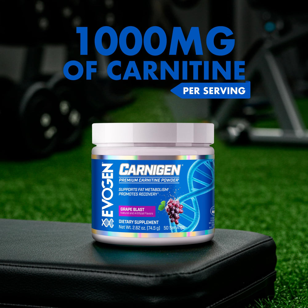 Evogen Carnigen Acetyl L-Carnitine component illustration for clarity.