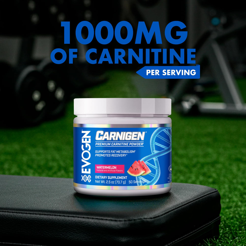 Evogen Carnigen acetyl-L-carnitine component for focus and energy support