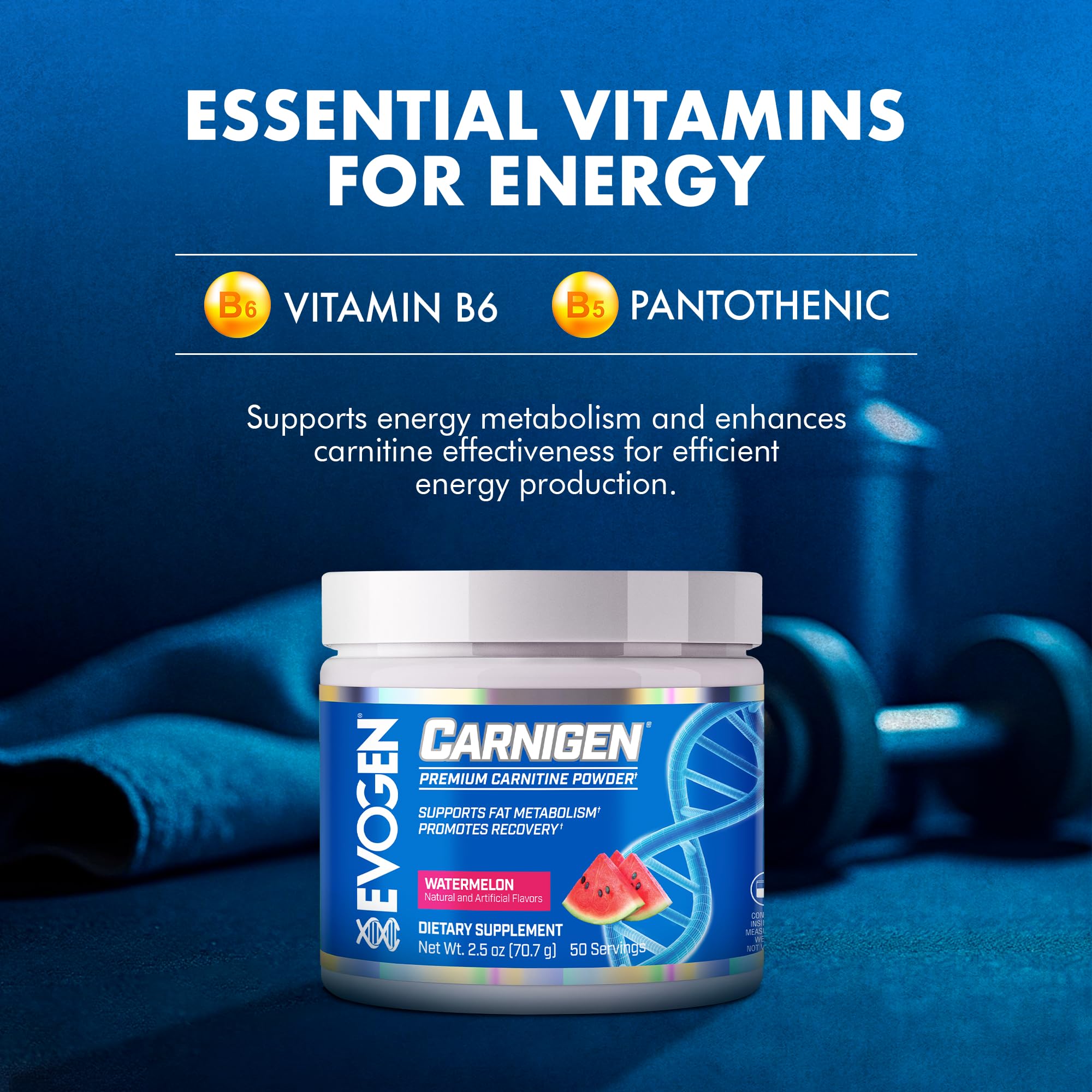 Evogen Carnigen L-carnitine fumarate ingredient for fat utilization