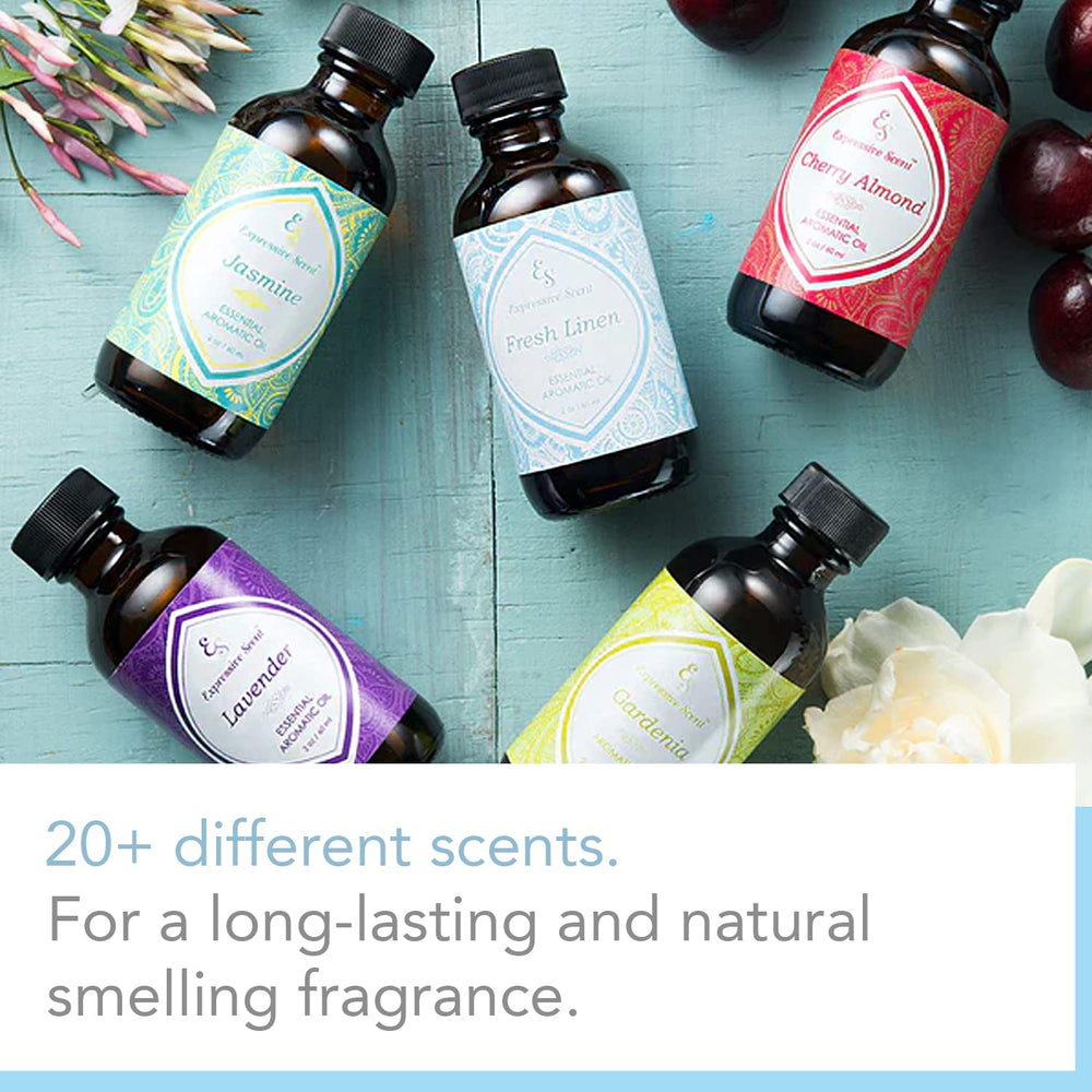 Expressive Scent Black Ice living room scene with calming fragrance.