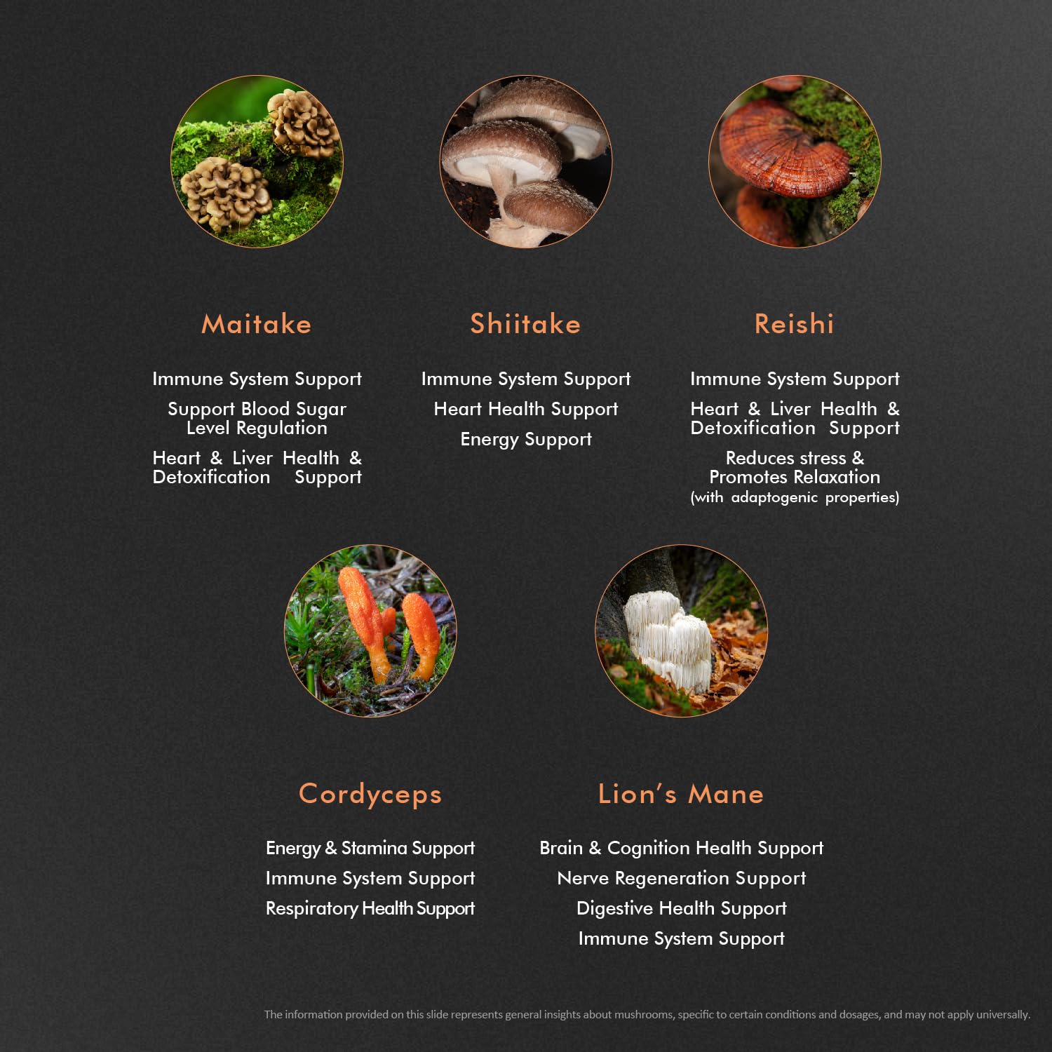 EXUVITAL 5 Mushroom Blend tablet closeup highlights compact vegan capsules
