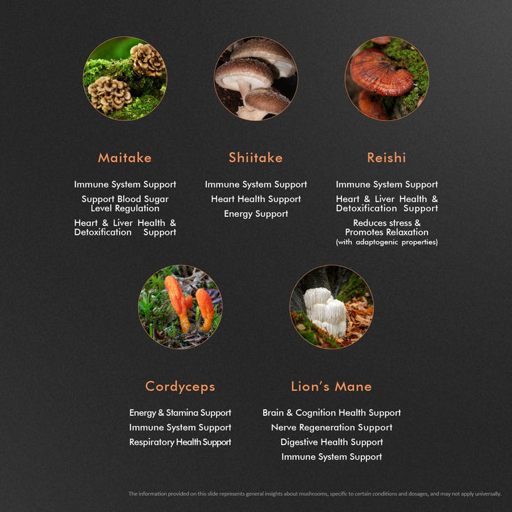 EXUVITAL 5 Mushroom Blend tablet closeup highlights compact vegan capsules