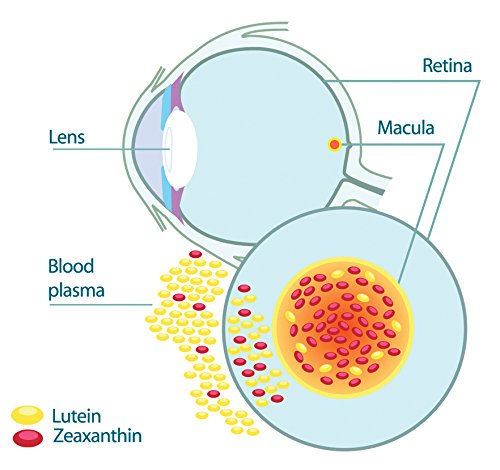 EyePromise Restore bottle near reading glasses suggests low-light comfort.