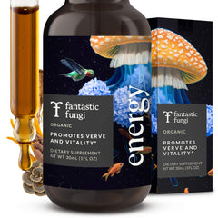 Fantastic Fungi Cordyceps tincture dropper bottle showing caffeine-free daily energy support.