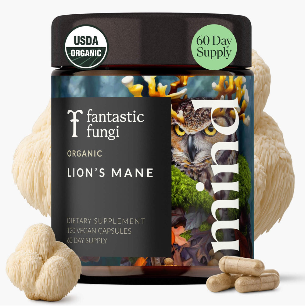 Fantastic Fungi Lions Mane bottle promotes daily focus and mental clarity.