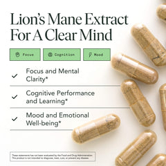 Fantastic Fungi Lions Mane capsules closeup for focus and memory support.