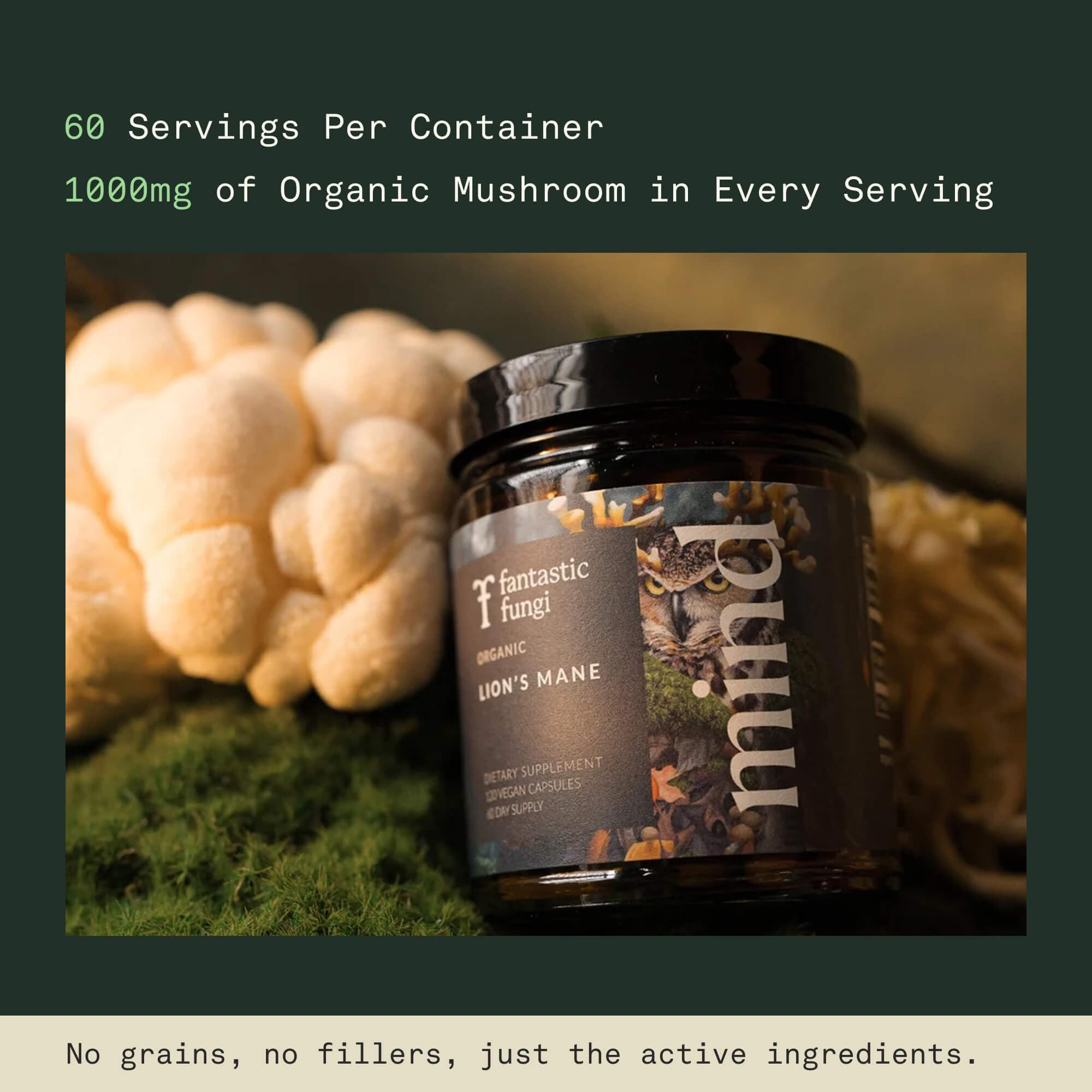 Fantastic Fungi mood balance illustration showing calm focus.