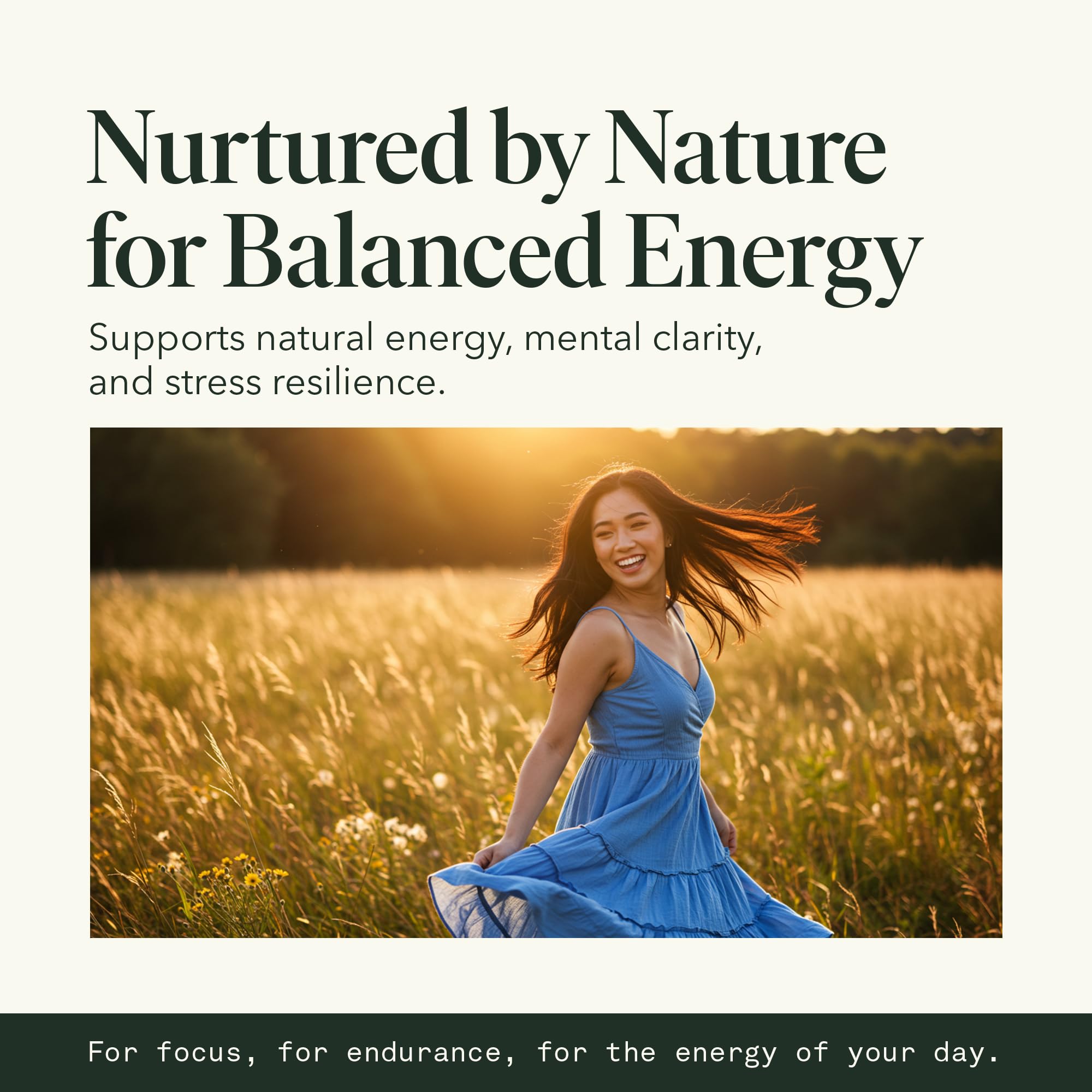 Organic mushroom extract liquid label highlights clean, potent formulation.