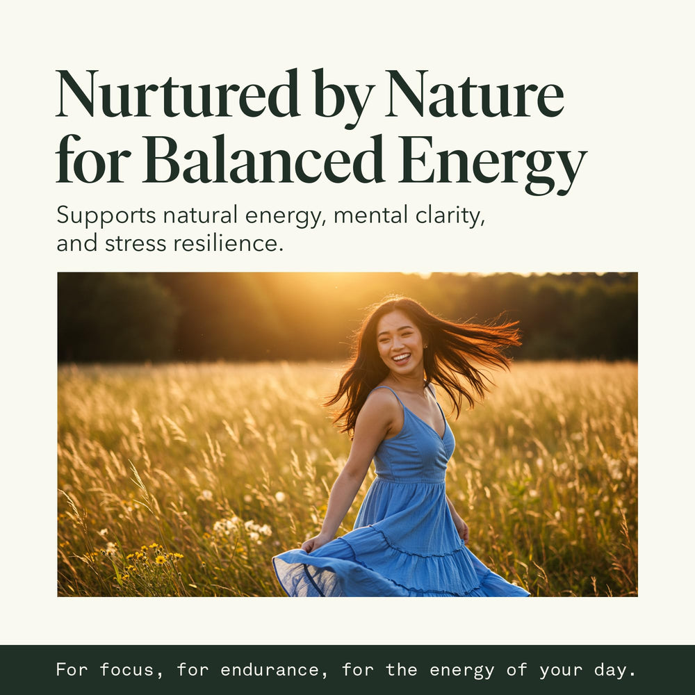 Organic mushroom extract liquid label highlights clean, potent formulation.
