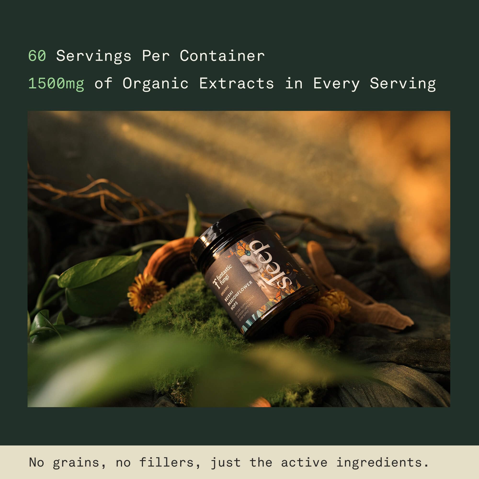 Fantastic Fungi Reishi capsules label noting USA GMP facility and potency.
