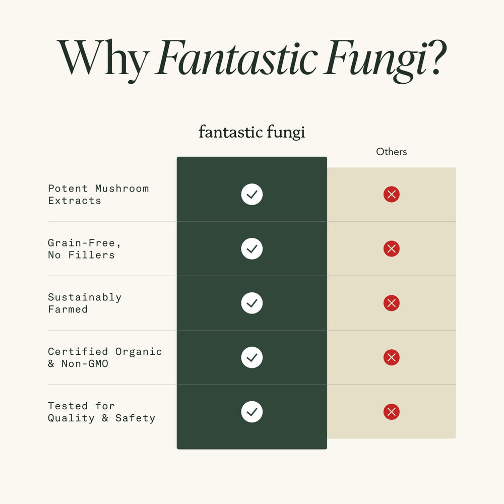 Fantastic Fungi Reishi capsules organic certification imagery with mushrooms.