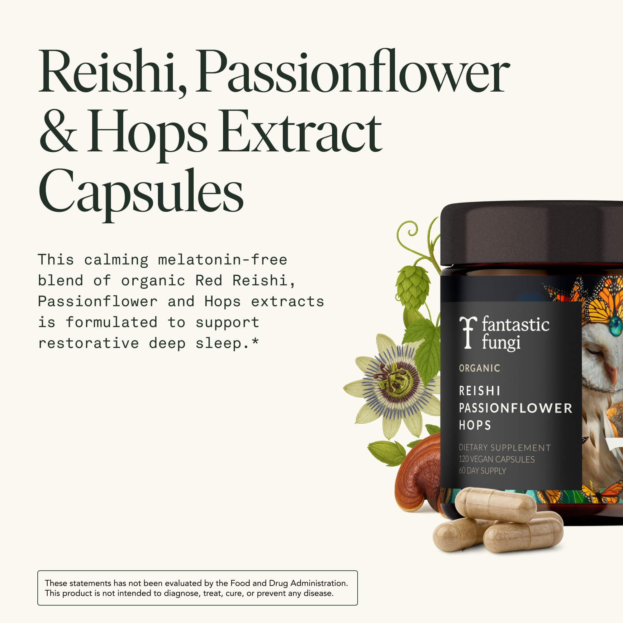 Fantastic Fungi Reishi capsules packaging highlighting organic quality.