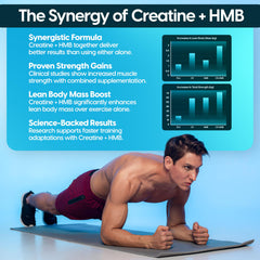Fantastic Nutrition creatine-hmb powder scoop demonstrates easy daily dosing.