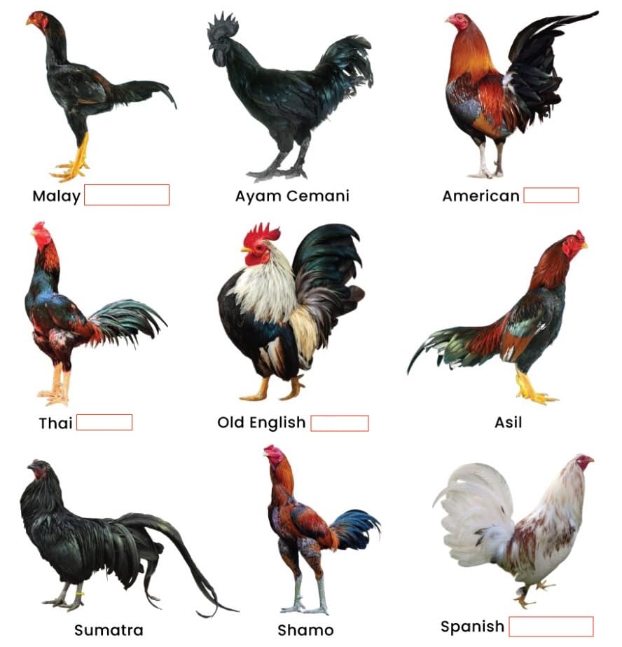 Farmalab B12 B15 for Roosters label detail with ingredients and use guidance.