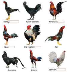 Farmalab B12 B15 for Roosters label detail with ingredients and use guidance.