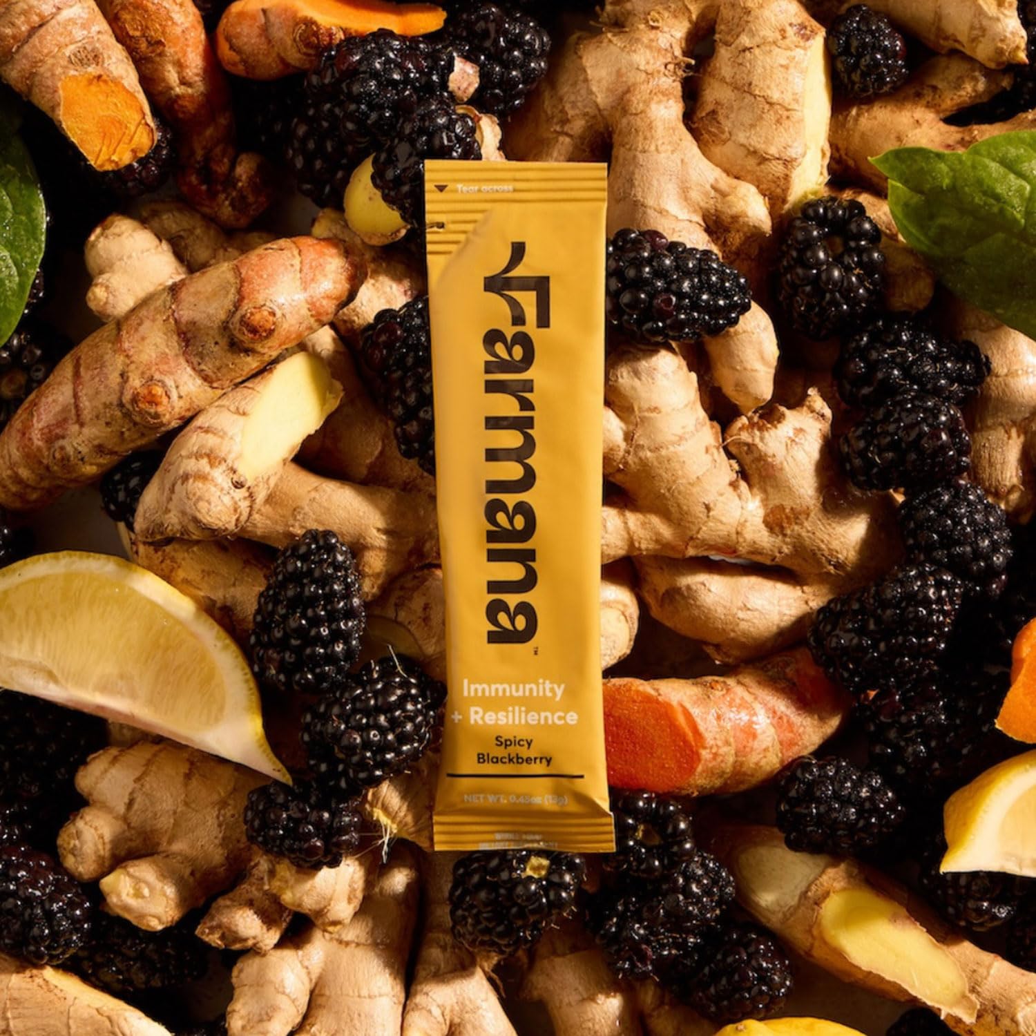 Farmana Immune ancient herbs elderberry echinacea closeup implies natural plant-based support.