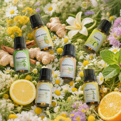 Fashome Rose fragrance oil enhances intimate atmospheres with balanced floral scent