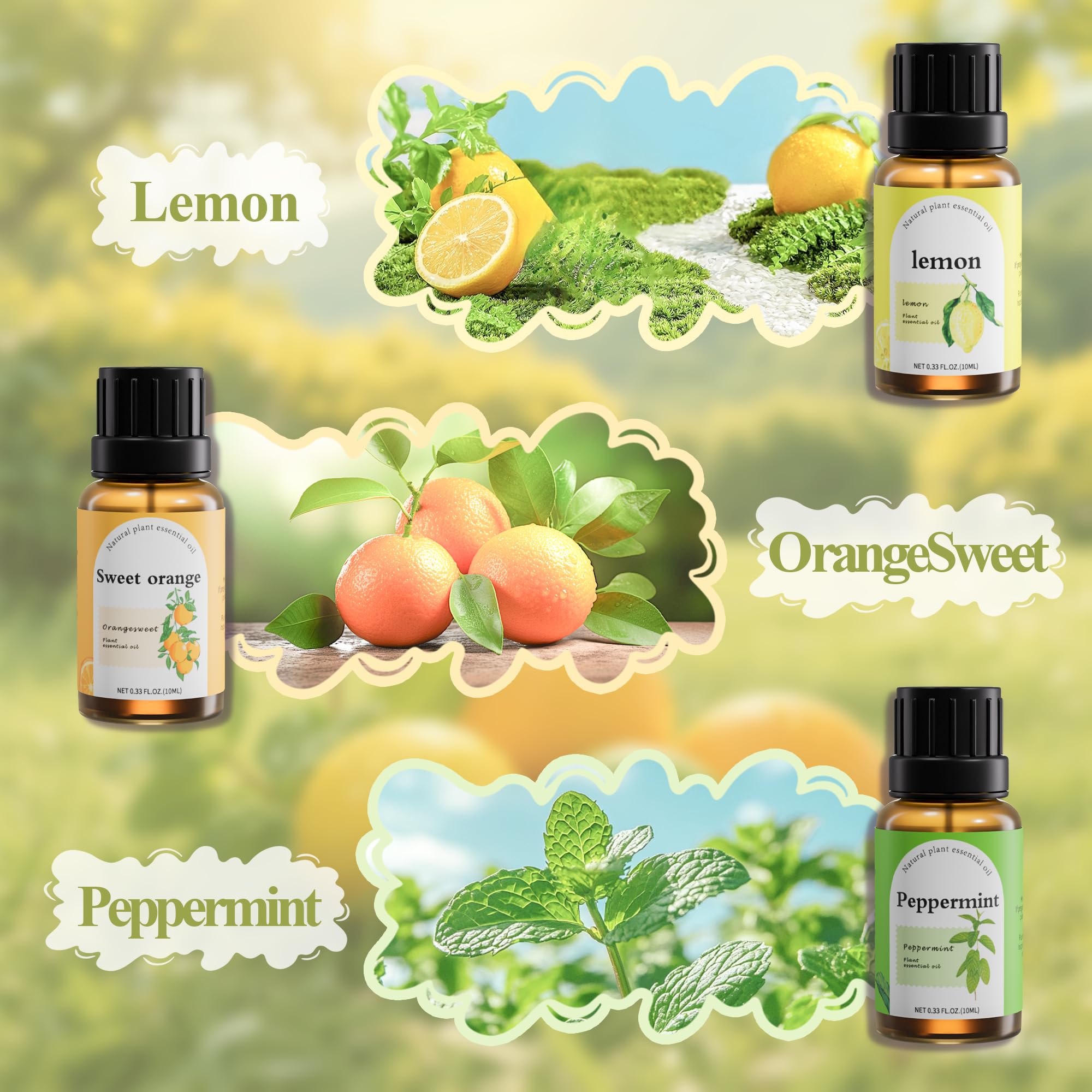 Fashome Sandalwood essence oil provides warm woody notes for meditation spaces