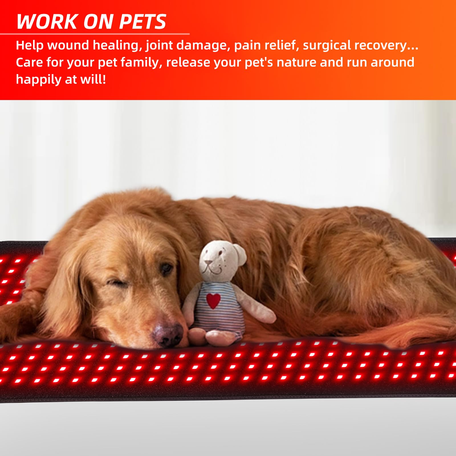 feangli pet-friendly therapy wrap supports joints and comfort for pets.