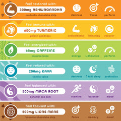 FEEL vegan protein bars close-up on ingredients, highlighting clean organic components.