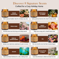 Feibao fresh rose amber jar candle enhances romantic ambience.