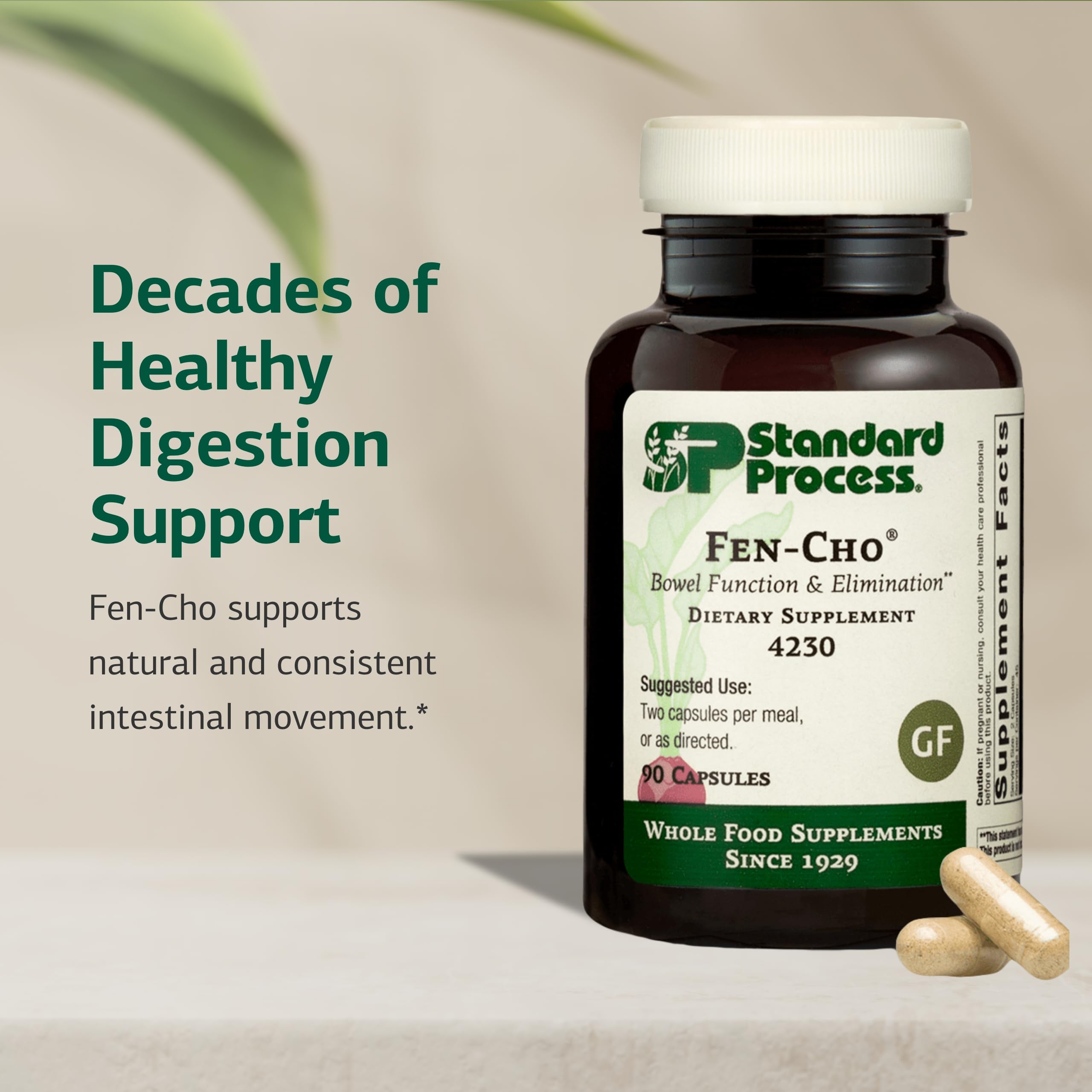 Collinsonia root ingredient spotlight illustrating traditional digestive health use.