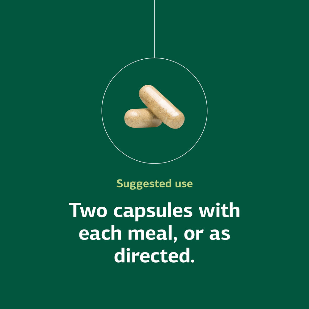 Gluten-free, non-dairy, non-soy icon communicates dietary compatibility.
