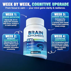 Fenolutra Lion's Mane and Ginkgo capsules promoting mental clarity.