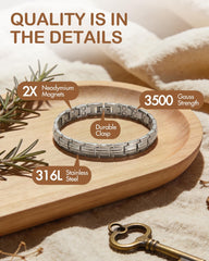 Feraco titanium steel bracelet with double rows magnets in silver