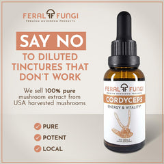 Cordyceps tincture dosing spoon demonstrates easy, versatile usage