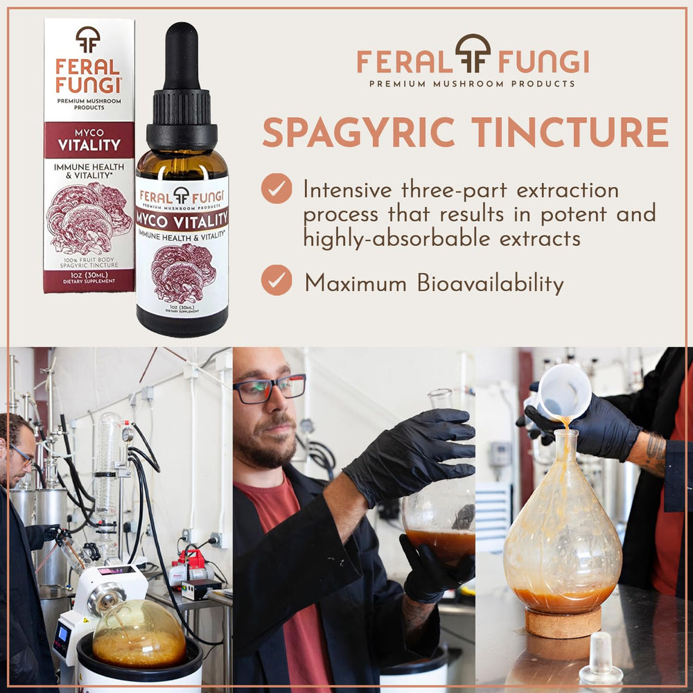 Feral Fungi Myco-Vitality uses 100% fruiting body mushrooms for pure extract.