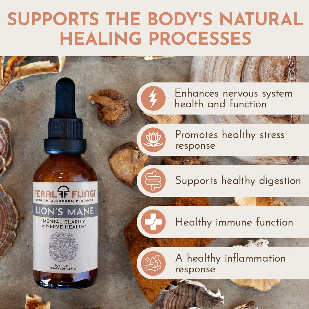 Feral Fungi Lion's Mane tincture label shows full-spectrum extract and farm roots