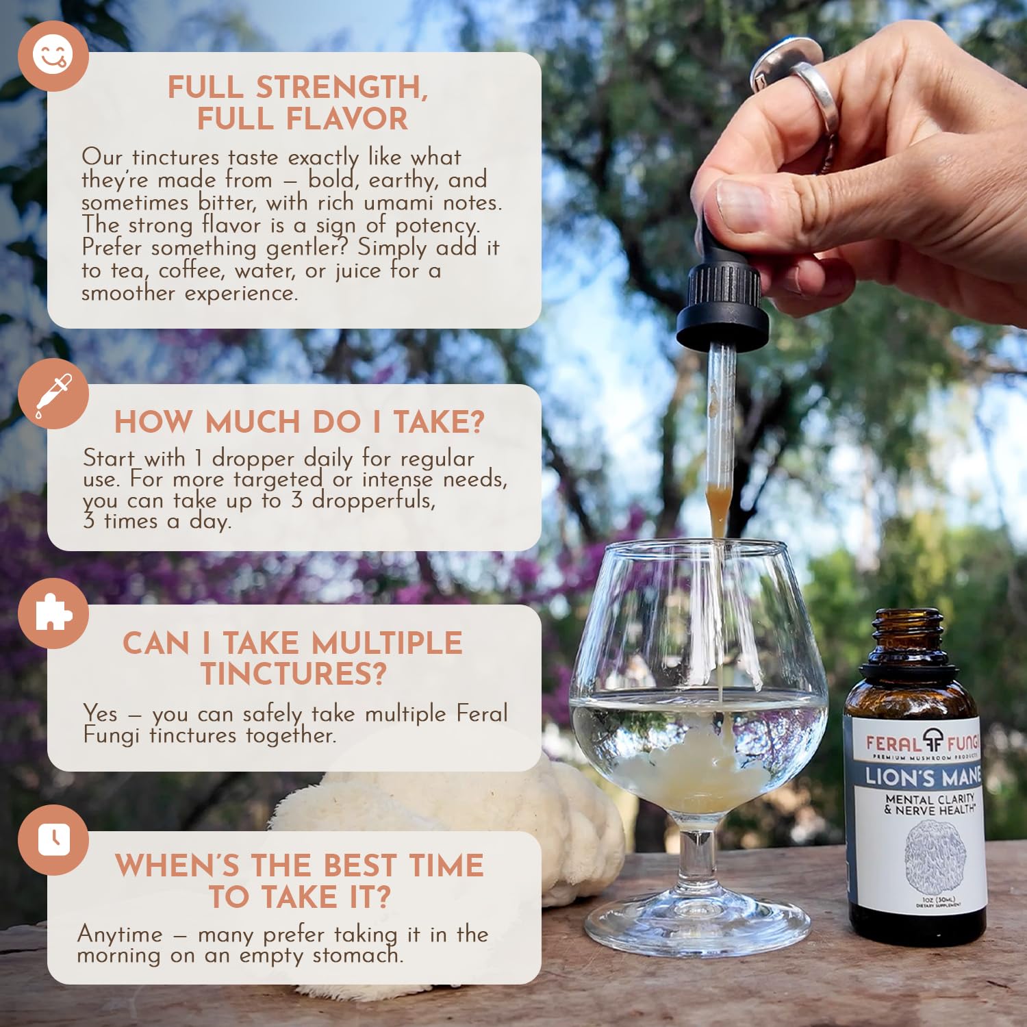 Feral Fungi Lion's Mane tincture small-batch production emphasizes craft integrity
