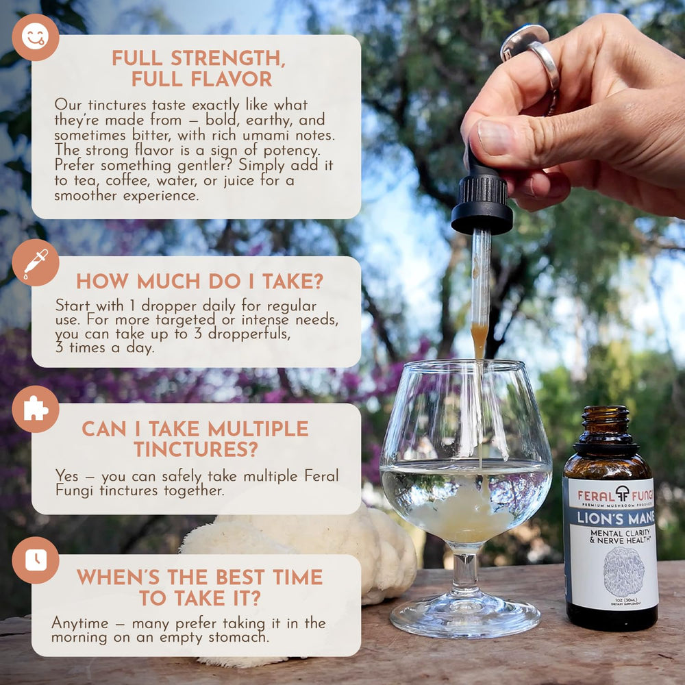 Feral Fungi Lion's Mane tincture small-batch production emphasizes craft integrity