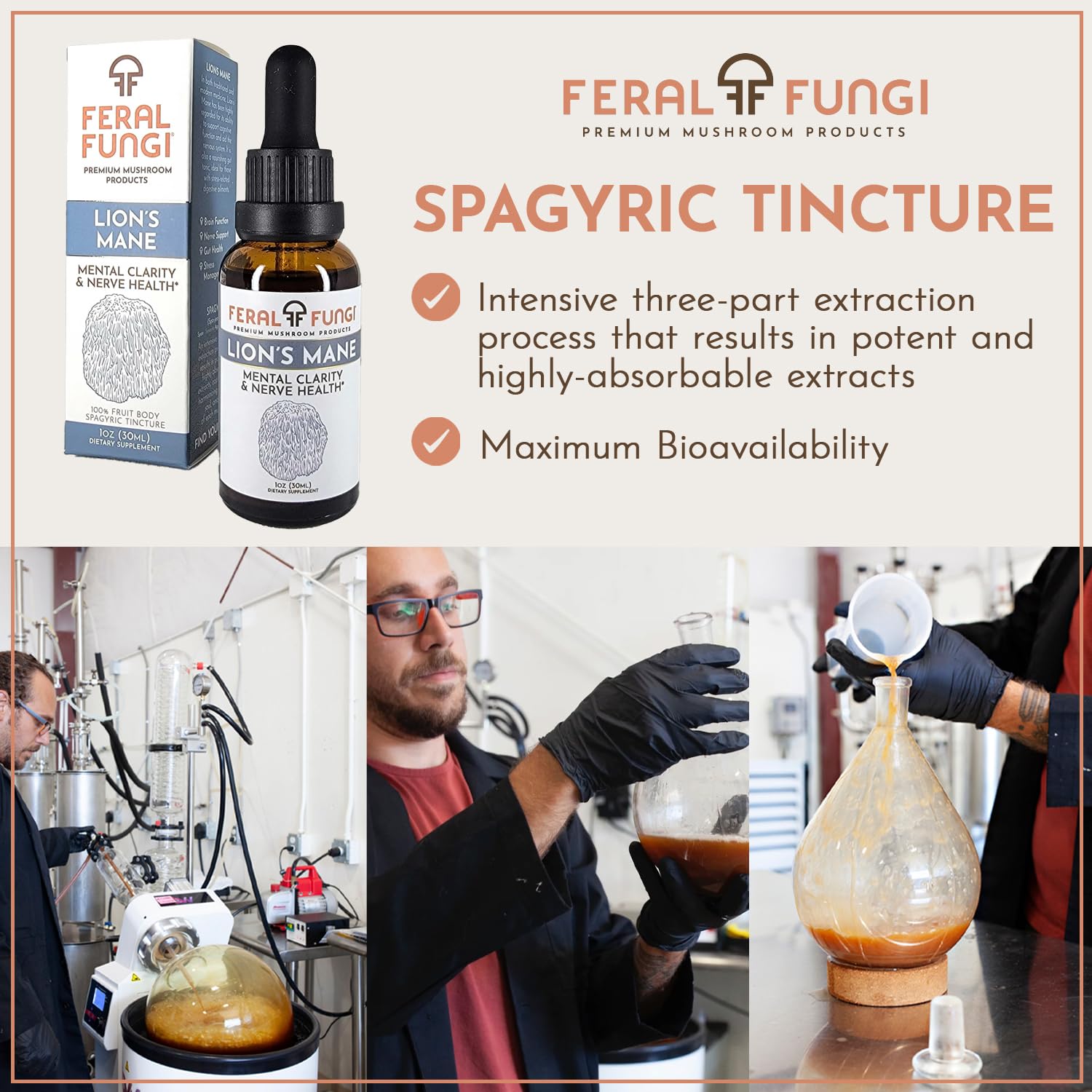 Feral Fungi Lion's Mane tincture tea-mix pairs with beverages for aroma boost