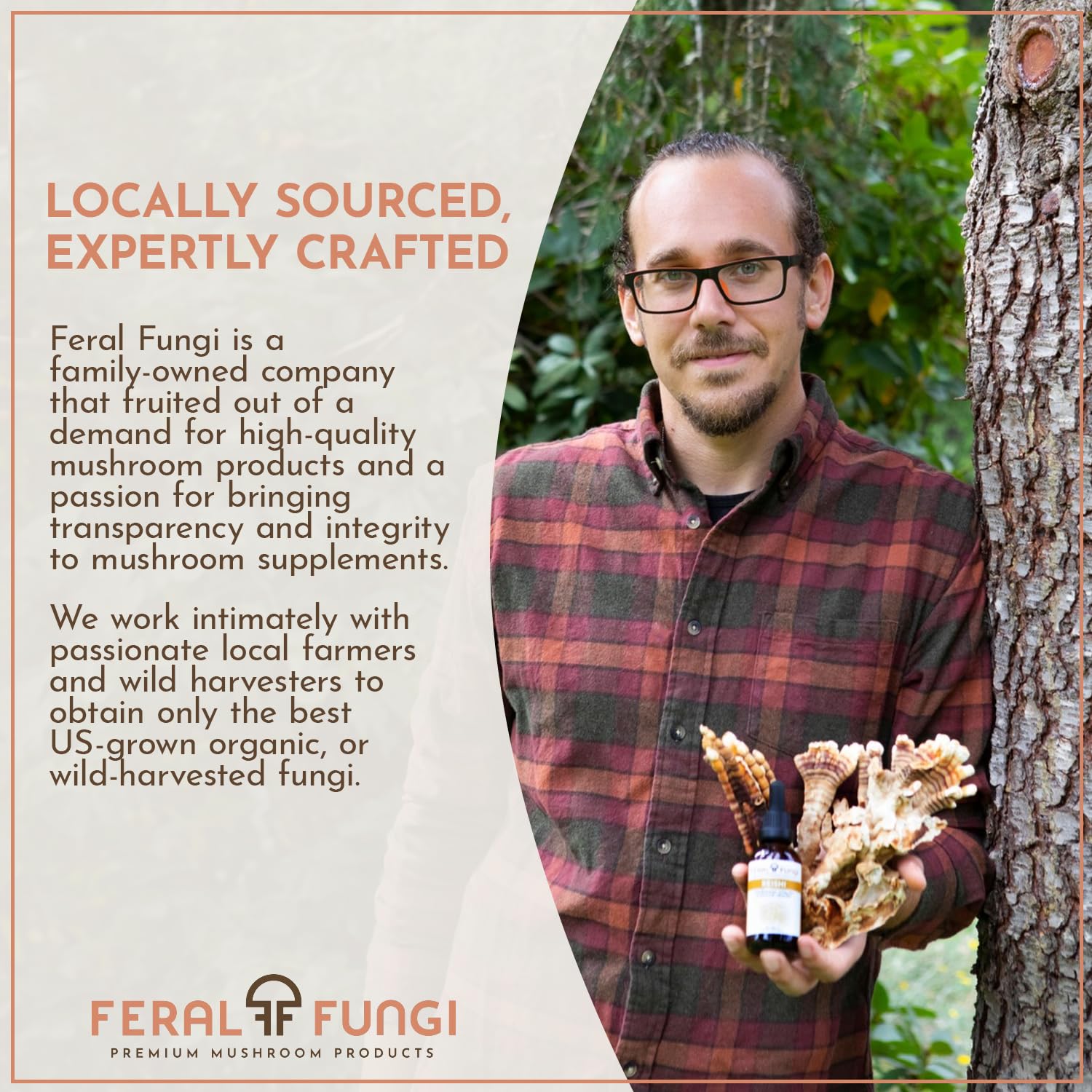 Feral Fungi Myco-Clarity dropper in glass highlights simple daily use for focus