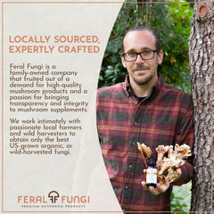 Feral Fungi Myco-Clarity dropper in glass highlights simple daily use for focus