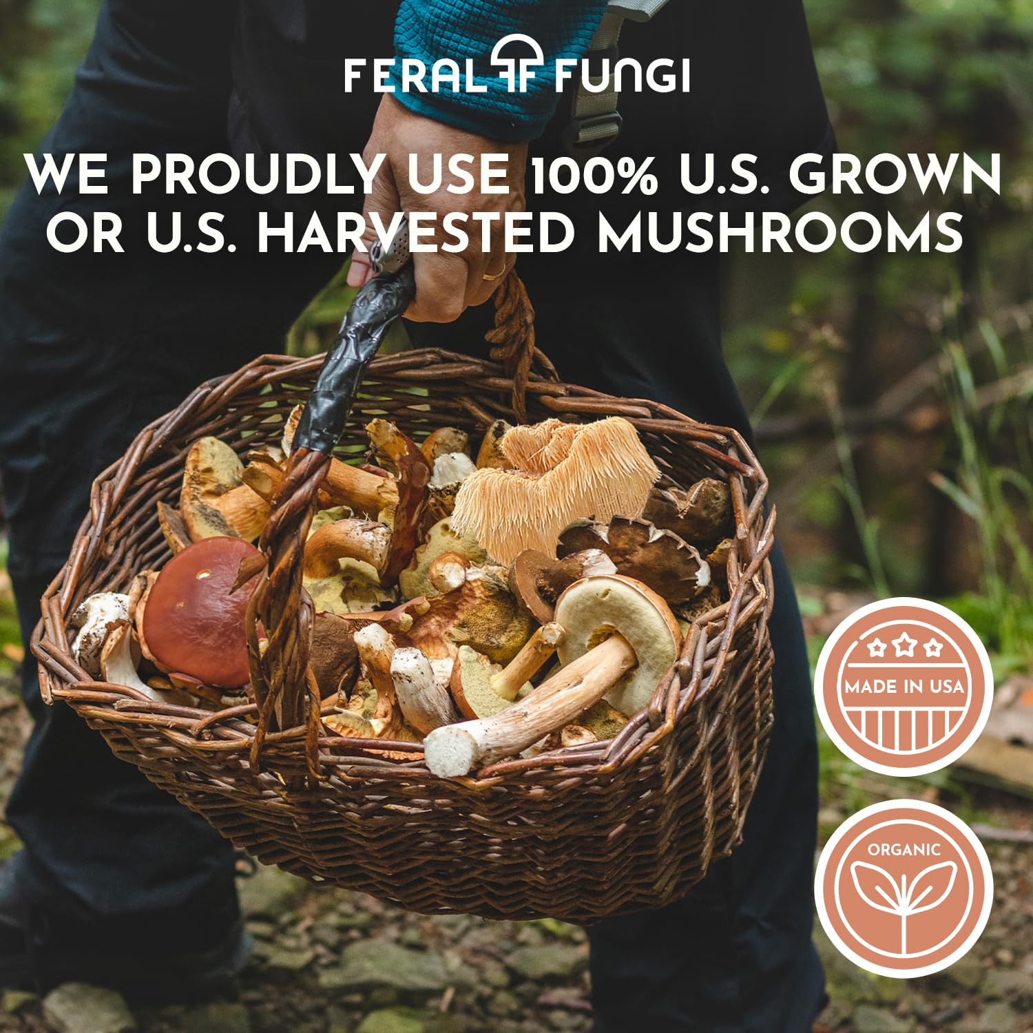 Feral Fungi Myco-Clarity ingredients and seal highlight purity