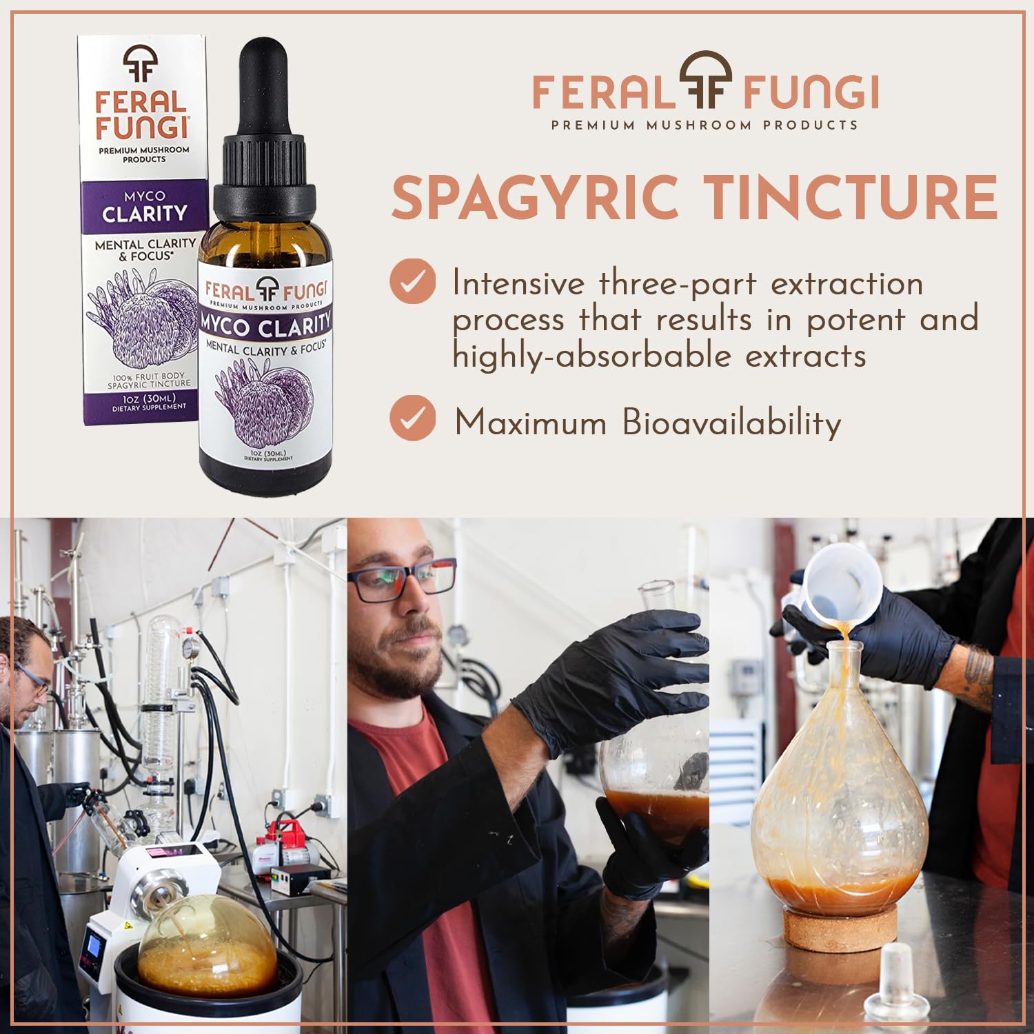 Feral Fungi Myco-Clarity tincture jar on wood evokes craft, small-batch quality