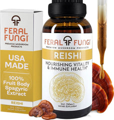 Feral Fungi Reishi tincture bottle for daily balance and focus.