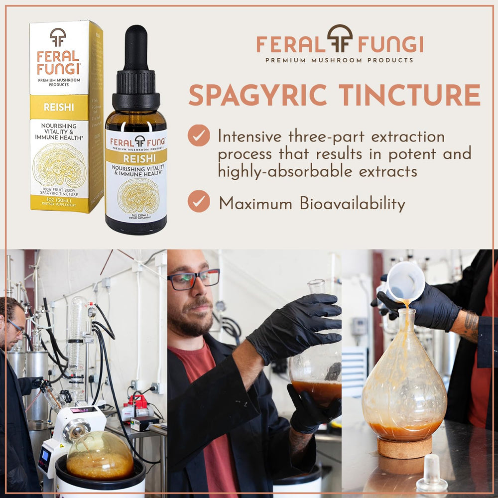 Dropper drops into drink for daily vitality with Feral Fungi.