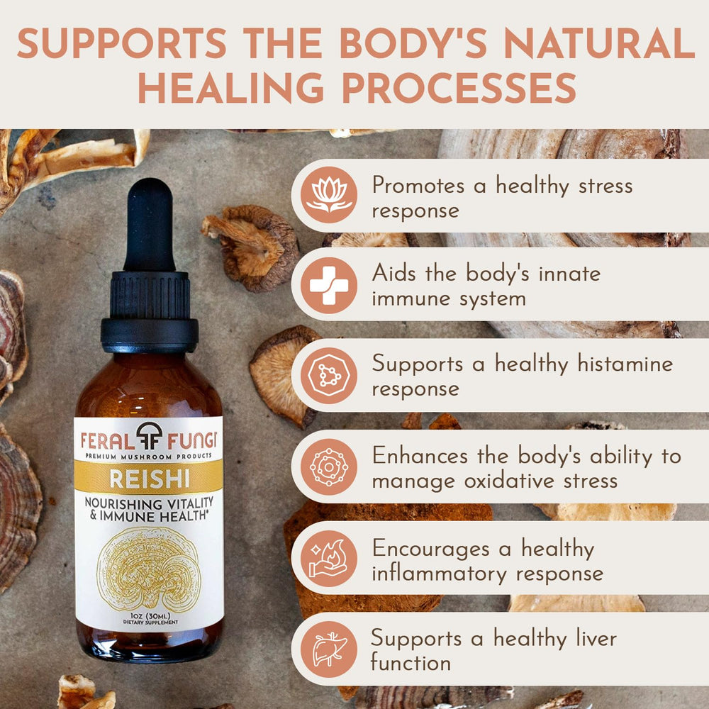 Feral Fungi Reishi tincture label highlights 100% fruiting body.