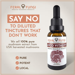 Feral Fungi Myco-Vitality tincture dropper illustrating easy daily dosing.