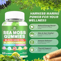 FIDERNIC Sea Moss Gummies packaging shown with vegan ingredients.