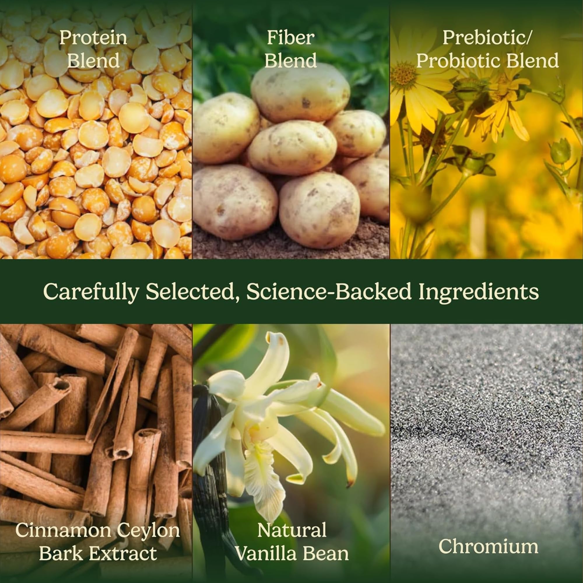 Field's Great vanilla pea protein probiotic blend close-up.